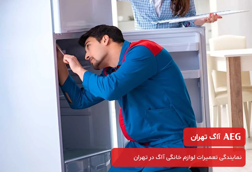 منطق قیمت گذاری مجموعه ما برای تعمیرات یخچال آاگ در تهران